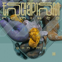Premiere: gonima - Inevitable State (Outback Remix)[ Satellite Era]