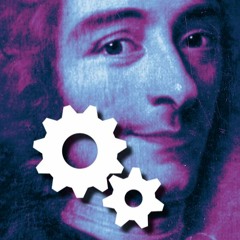 Voltaire - siamo stati troppo severi ? Sparring