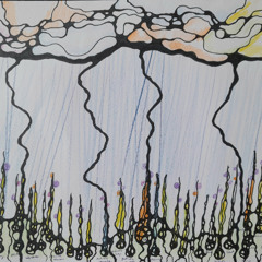 Spring morning
