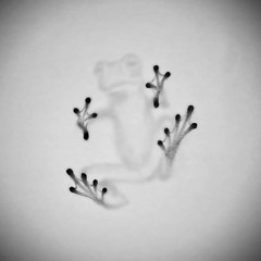 Celesta (Instrumental)