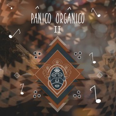 Panico Organico Vox Club 2