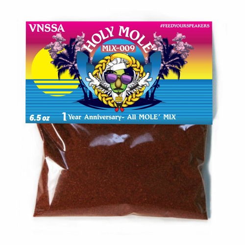 1 Year Anniversary Molé Mix ft. VNSSA