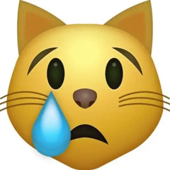uhhh do you even still like me or are you getting fucked rn idk girls are weird cover