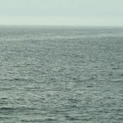 the hand the length and the hollow