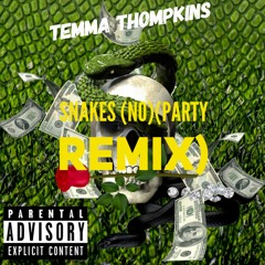 Temma Snakes No More Parties remix