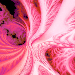 Tri Sélectif avec Roman Delore - 1er Décembre 2025