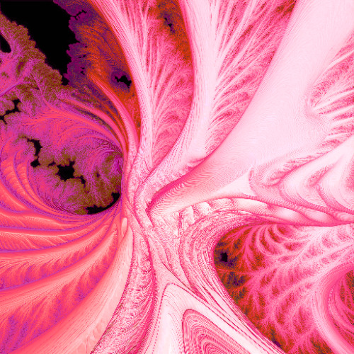 Tri Sélectif avec Roman Delore - 1er Décembre 2025