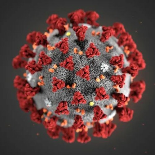 Infected
