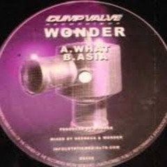 DJ Wonder  - What (Skillz Bootleg)