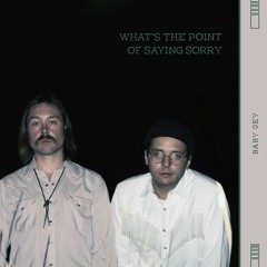 What's The Point of Saying Sorry