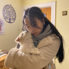 Mưa trên biển vắng Julia ♥️