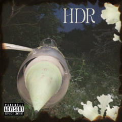 3 HAZE - Retour à la source