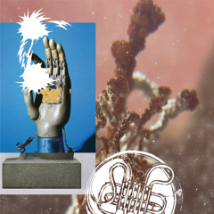 seventy seven zero zero seventy seven