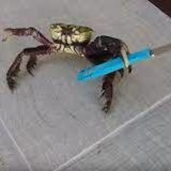 I Slept In A Coffin To Feel Like A Vampire, But I Tripped And Broke My Foot