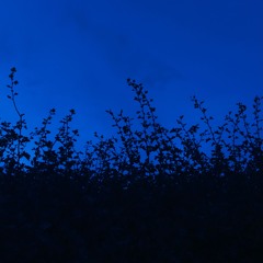 Overleaf (Free Download)