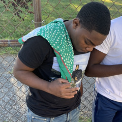 Ona come up 🎯