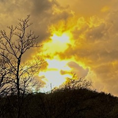 Joy is my prescribed prescription, written by Johnny B