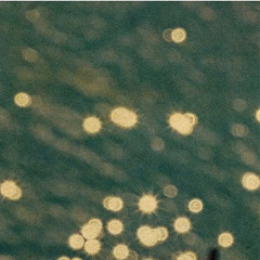 Midsommar (Prod. Ill Instrumentals)