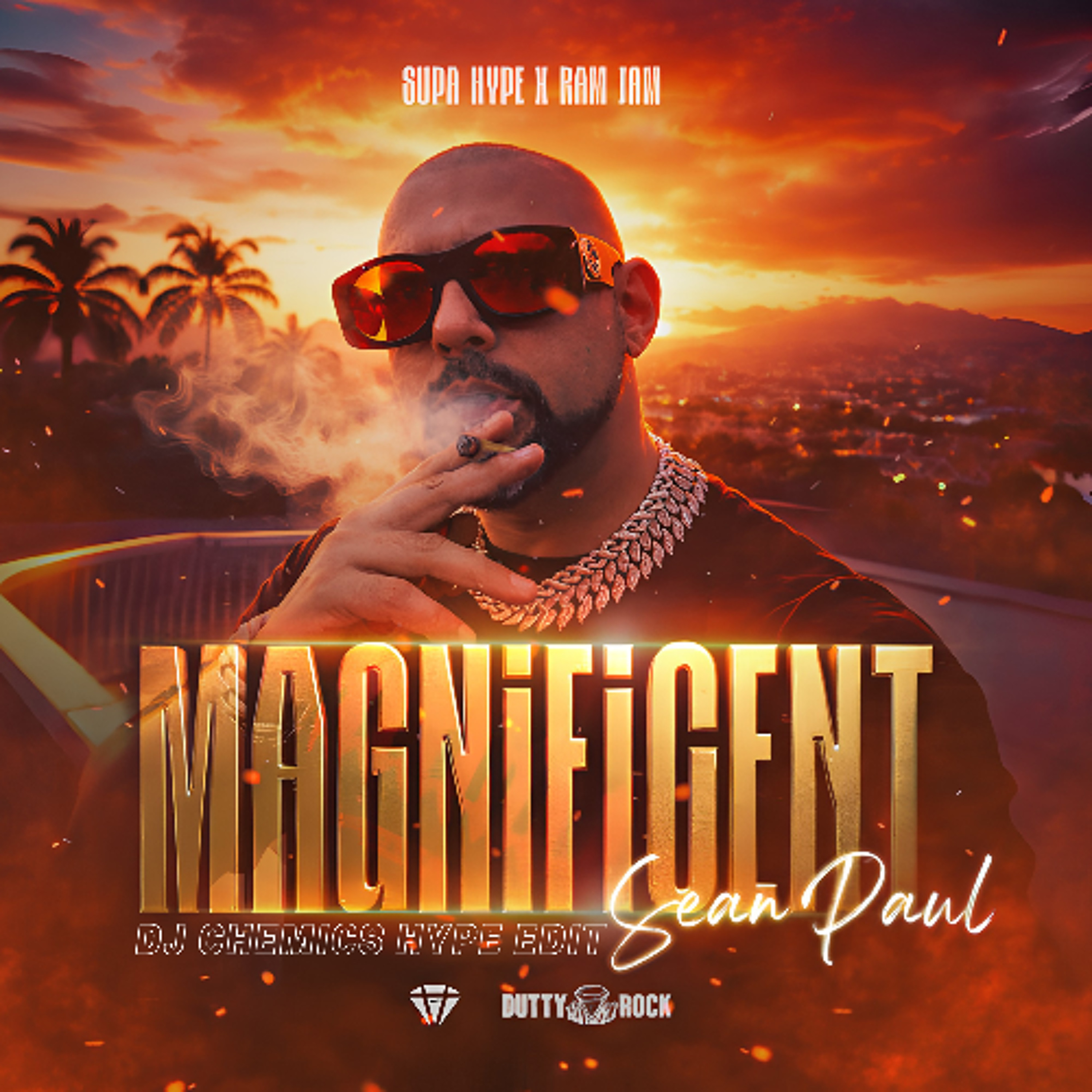 Sean Paul, Supa Hype, Ram Jam - Magnificent (DJ Chemics Hype Edit) episode artwork