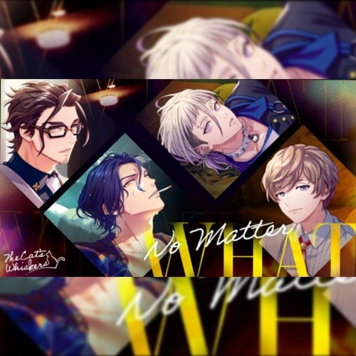 The Cat’s Whiskers - No Matter What
