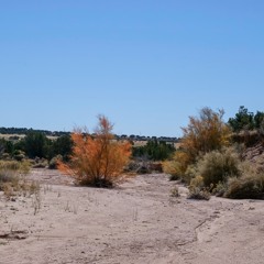 Gallisteo Basin Preserve, Lamy, New Mexico