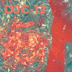 DJC-12 Jungle DnB & 160