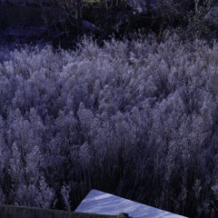 ayoboi - loveland Pt1. [INTro] ringtone[JOYBOY][JOYBOY](downloadable)