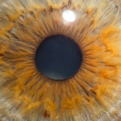 Where have you been, Esmeralda?