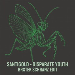 Santigold – Disparate Youth (BRXTEK Schranz Edit) [FREE DL]