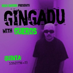 GUEROS I GINGADU @FunctionFM 13.06.2024