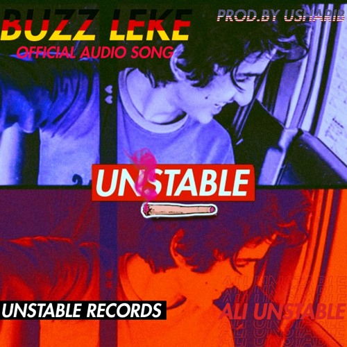 BUZZ LEKE PROD.BY USHARIB OFFICIAL AUDIO SONG ALI UNSTABLE