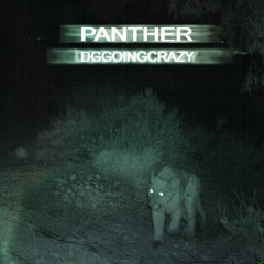 Panther (prod. DG)