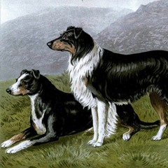 DOG DUO (arr. Sauro Berti) for bass clarinet & contrabassoon, Op. 66