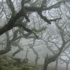 U. - Niteboi, sped up.