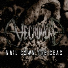 Necrovore - Nail Down the Dead (DEMO - 07/09/2023)