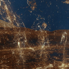 Por onde eu for | Sim/Não - (Heart to heart | Numb)