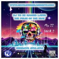 The Pulse Of The Beat Mix 22 HR2