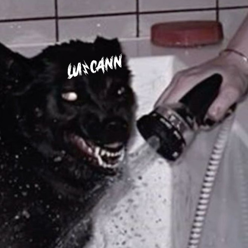 Psicologia Inversa [FREE DL]