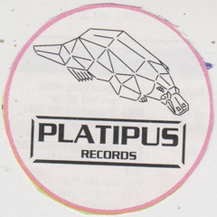 Platipus Records Set - 2025 Mix