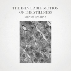 The Inevitable Motion of the Stillness