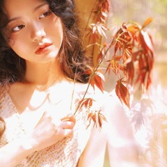 Cửu Biệt (Vocal Nam) - Rum Barcadi Remix