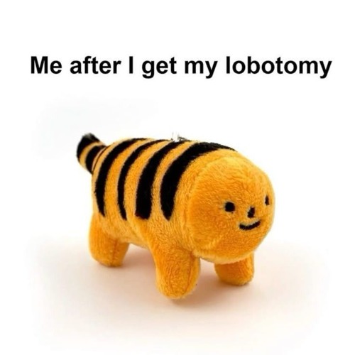 spellcasting - the lobotomy song