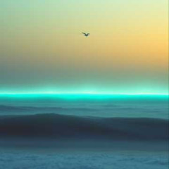 Riding the Line (Between the Horizon and the Tide)