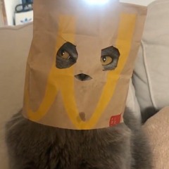 Srsshit