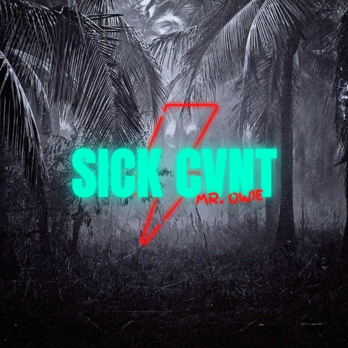 SICK CVNT