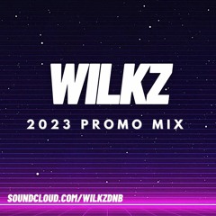 2023 PROMO MIX | Wilkz
