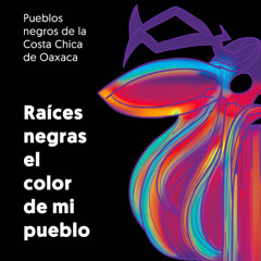 Raíces negras el color de mi pueblo. Pueblo afromexicano