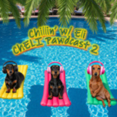 Chillin' with Eli Pawdcast 2 - ChELI 2