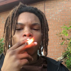 Srsem seless - Visionary