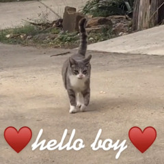Here Comes The Boy (but original)